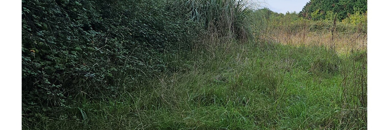 Terrain  500 m² à vendre à La Plaine-sur-Mer (44770)