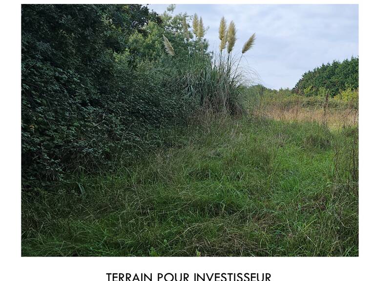 A VENDR TERRAIN PROCHE MER — photo 1