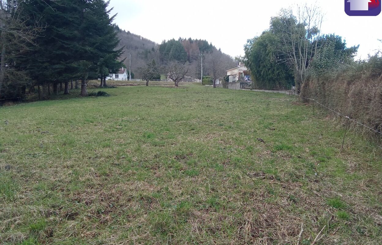 terrain  pièces 2897 m2 à vendre à Lavelanet (09300)