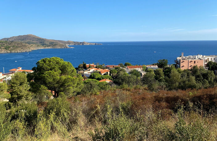 EXCEPTIONNEL BANYULS SUR MER — photo 2
