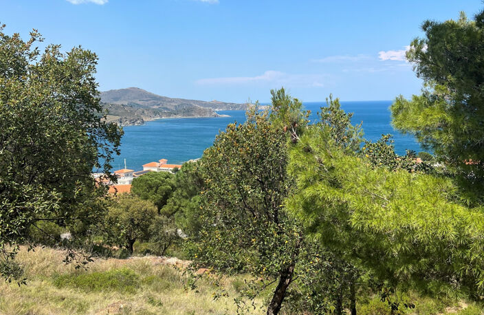 EXCEPTIONNEL BANYULS SUR MER — photo 5
