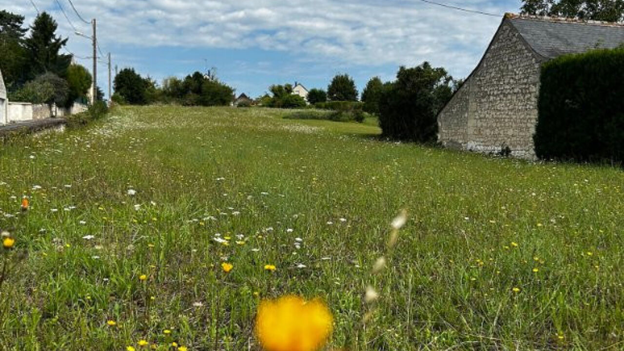 terrain  pièces 3270 m2 à vendre à Ingrandes-de-Touraine (37140)