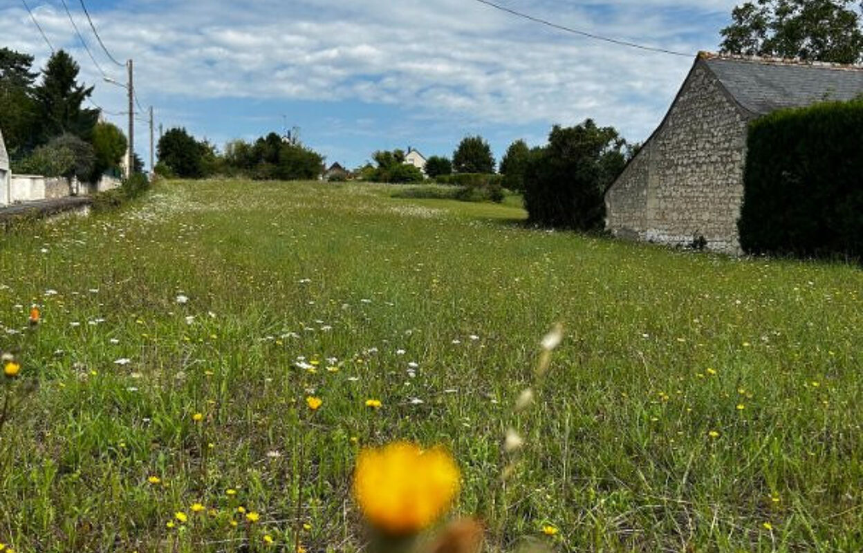 terrain  pièces 3270 m2 à vendre à Ingrandes-de-Touraine (37140)