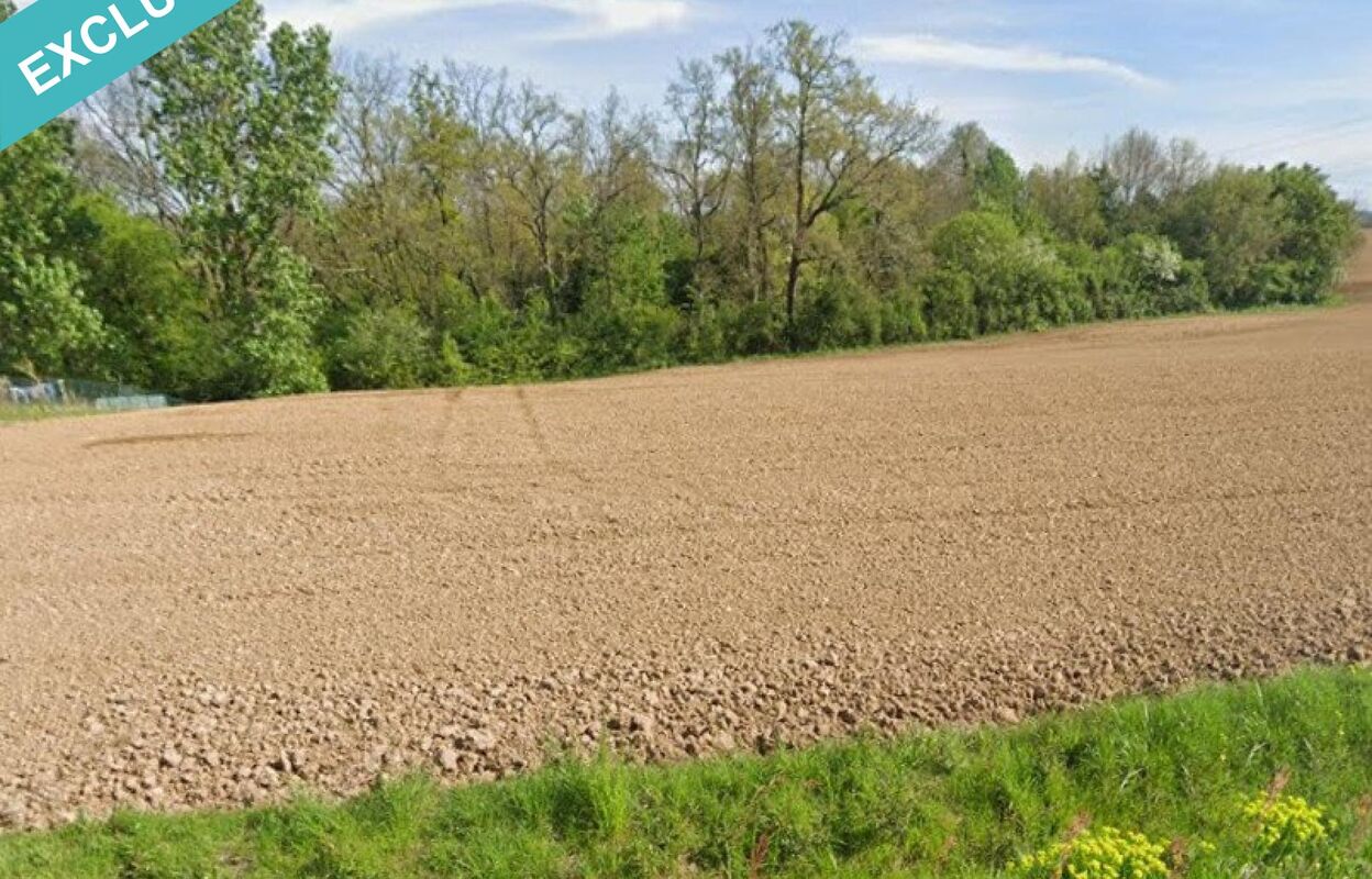 terrain  pièces 4240 m2 à vendre à Bardigues (82340)