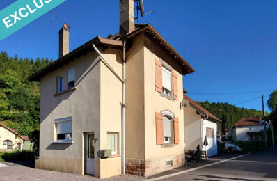 vente immeuble 127 000 € à proximité de La Broque (67130)