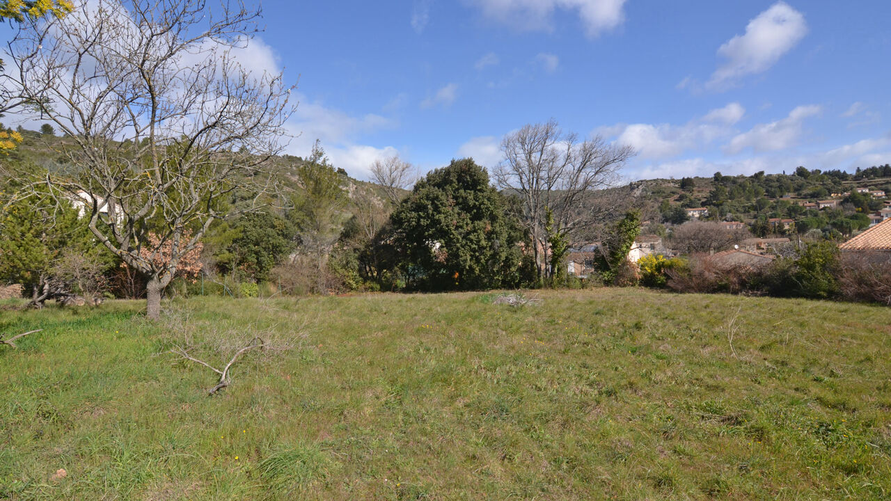 terrain  pièces 1679 m2 à vendre à Caunes-Minervois (11160)