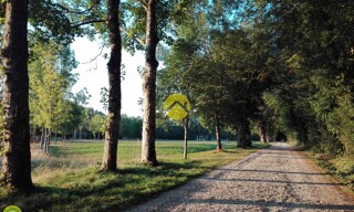 Photo N° 3