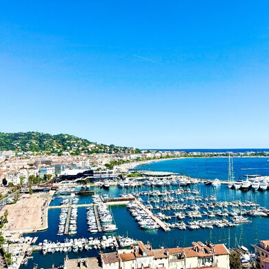 Commerce  289990 €