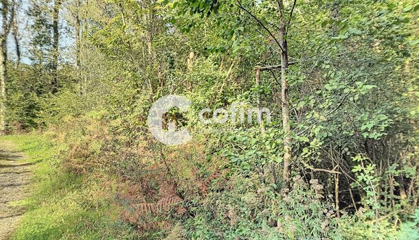 Terrain  à vendre Bosdarros 64290