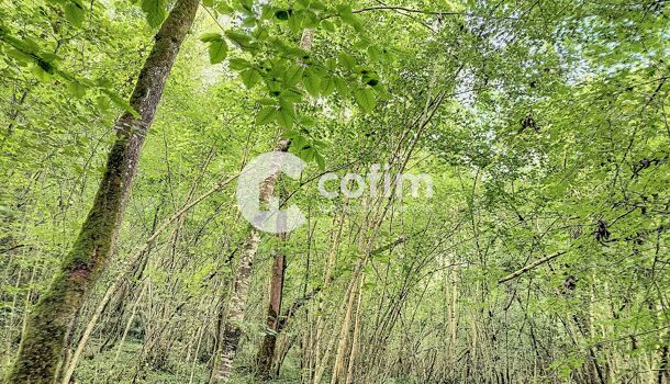 Terrain  à vendre Bosdarros 64290