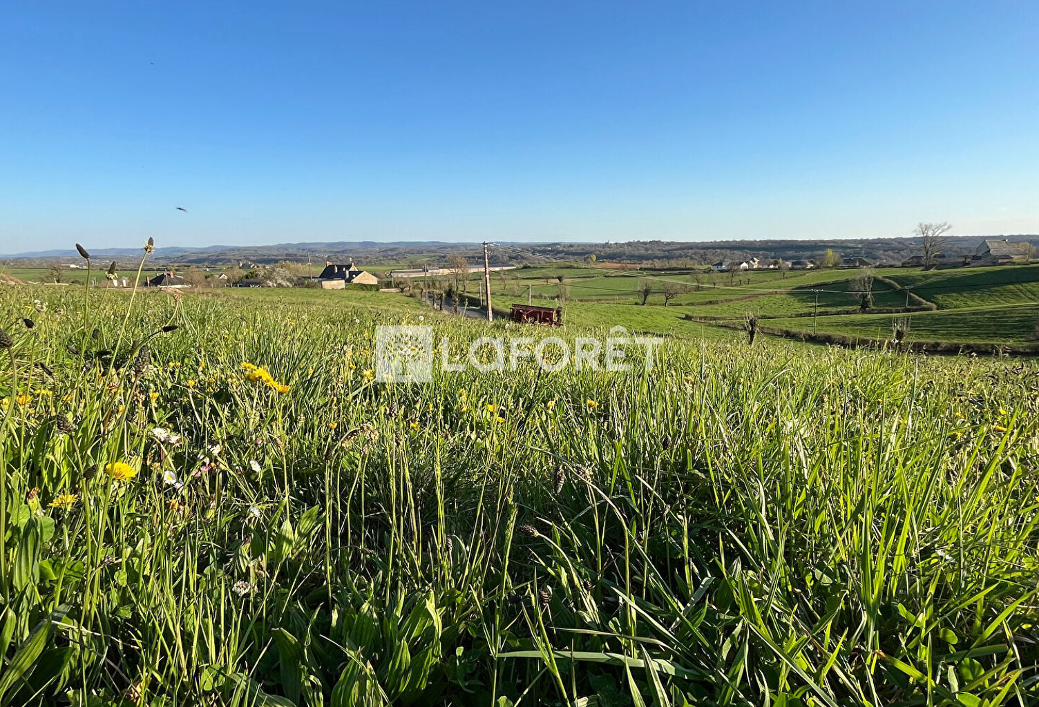 PROCHE BOZOULS / SAINT-JULIEN DE RODELLE — photo 1
