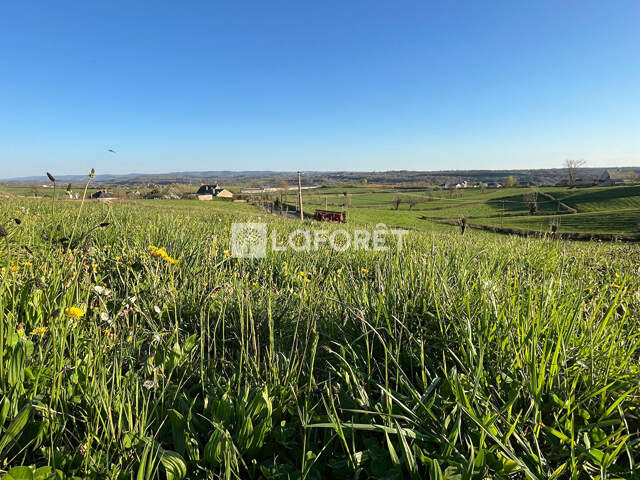 PROCHE BOZOULS / SAINT-JULIEN DE RODELLE — photo du bien