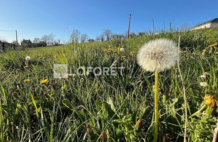 PROCHE BOZOULS / SAINT-JULIEN DE RODELLE — photo 5