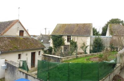 vente maison 89 250 € à proximité de Crouzilles (37220)