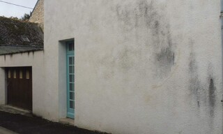 Photo N° 13