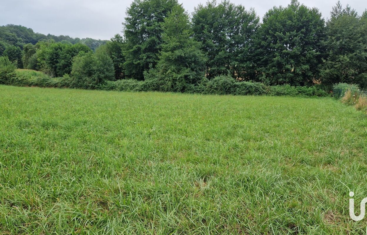 terrain  pièces 1211 m2 à vendre à Coarraze (64800)