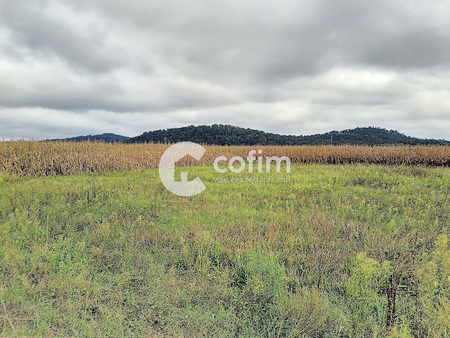 Terrain  à vendre Bordes 64510