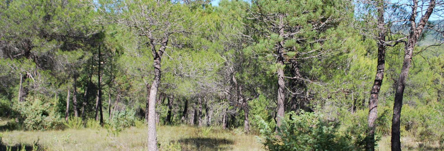 Terrain  946 m² à vendre à Salernes (83690)