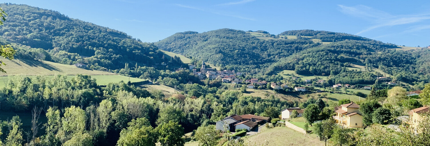 Terrain  3626 m² à vendre à Montromant (69610)