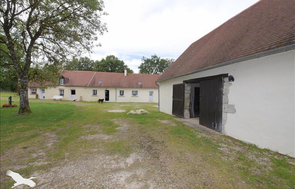 maison 9 pièces 240 m2 à vendre à Soings-en-Sologne (41230)