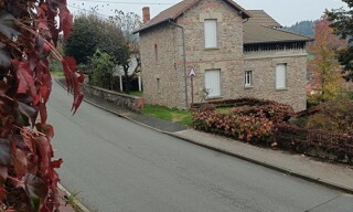 Photo N° 41