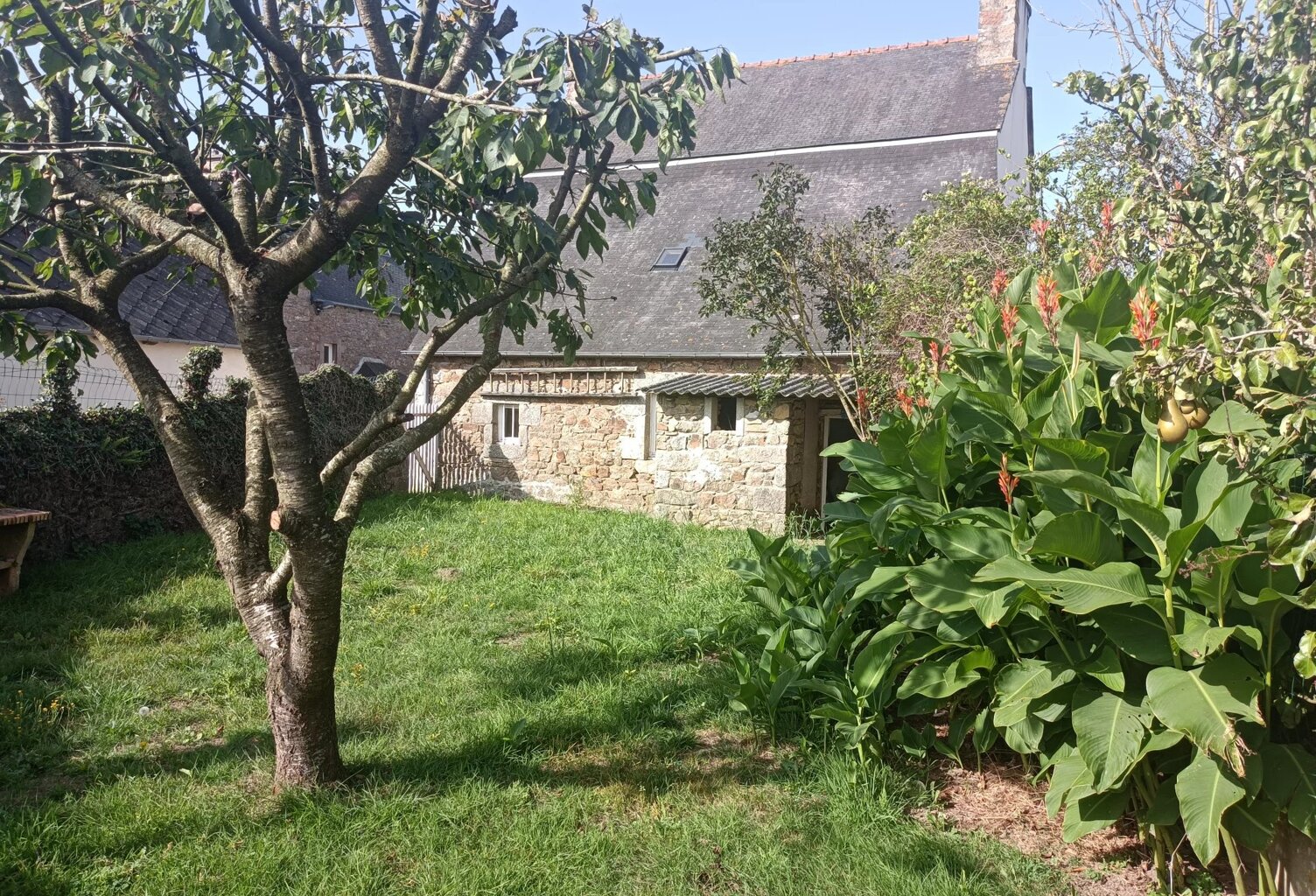 A louer maison PLAINE-HAUTE — photo 1