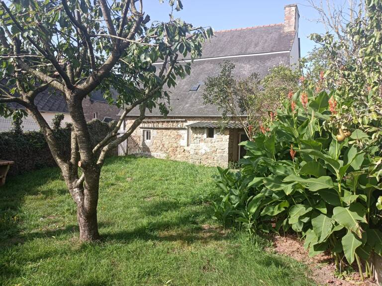 A louer maison PLAINE-HAUTE — photo 1