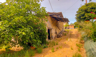 Photo N° 3
