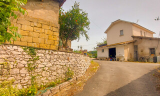 Photo N° 6