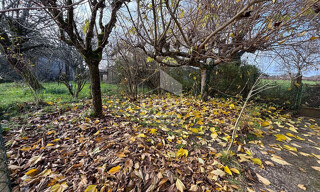 Photo N° 6