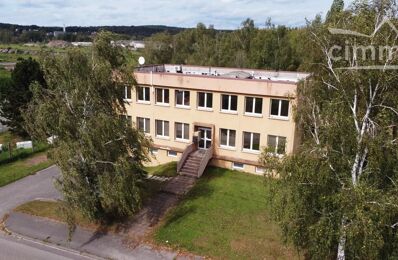 vente commerce 299 000 € à proximité de Morsbach (57600)