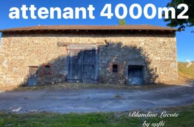 vente immeuble 28 500 € à proximité de Sauviat-sur-Vige (87400)