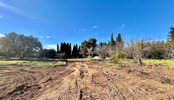 Terrain  à vendre Sanary-sur-Mer 83110