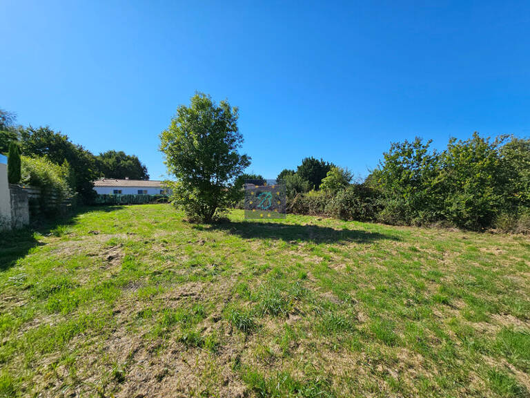Terrain — photo 1