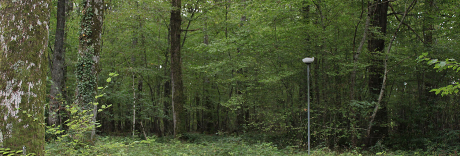 Terrain  33000 m² à vendre à Merry-la-Vallée (89110)