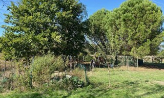 Photo N° 4
