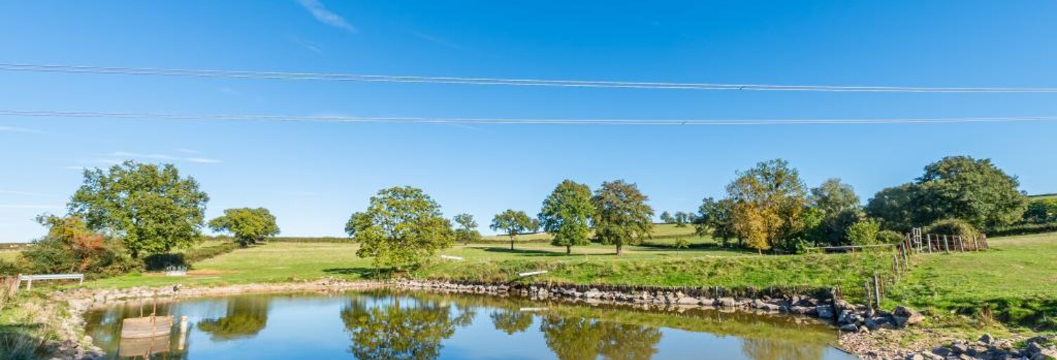 Maison  46710 m² à vendre à Saint-Laurent-d'Andenay (71210)