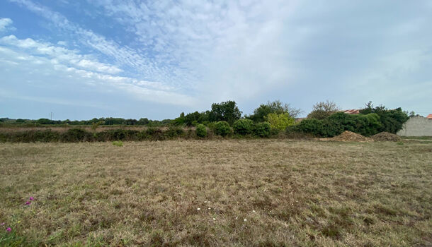 Terrain  à vendre Château-d'Oléron (Le) 17480