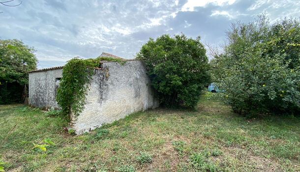 Terrain  à vendre Château-d'Oléron (Le) 17480