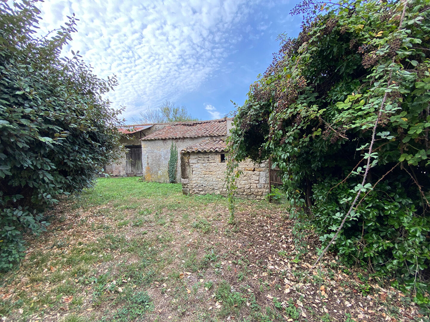 Villa / Maison 3 pièces  à vendre Château-d'Oléron (Le) 17480