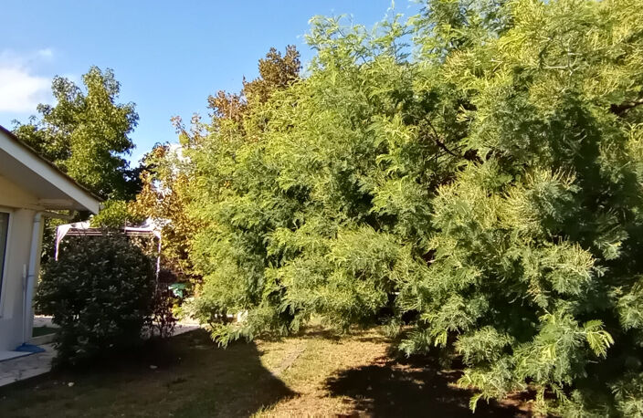 Maison  4 pièce(s) 95 m2 à Lège — photo 4