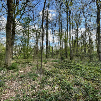 Terrain  75000 €