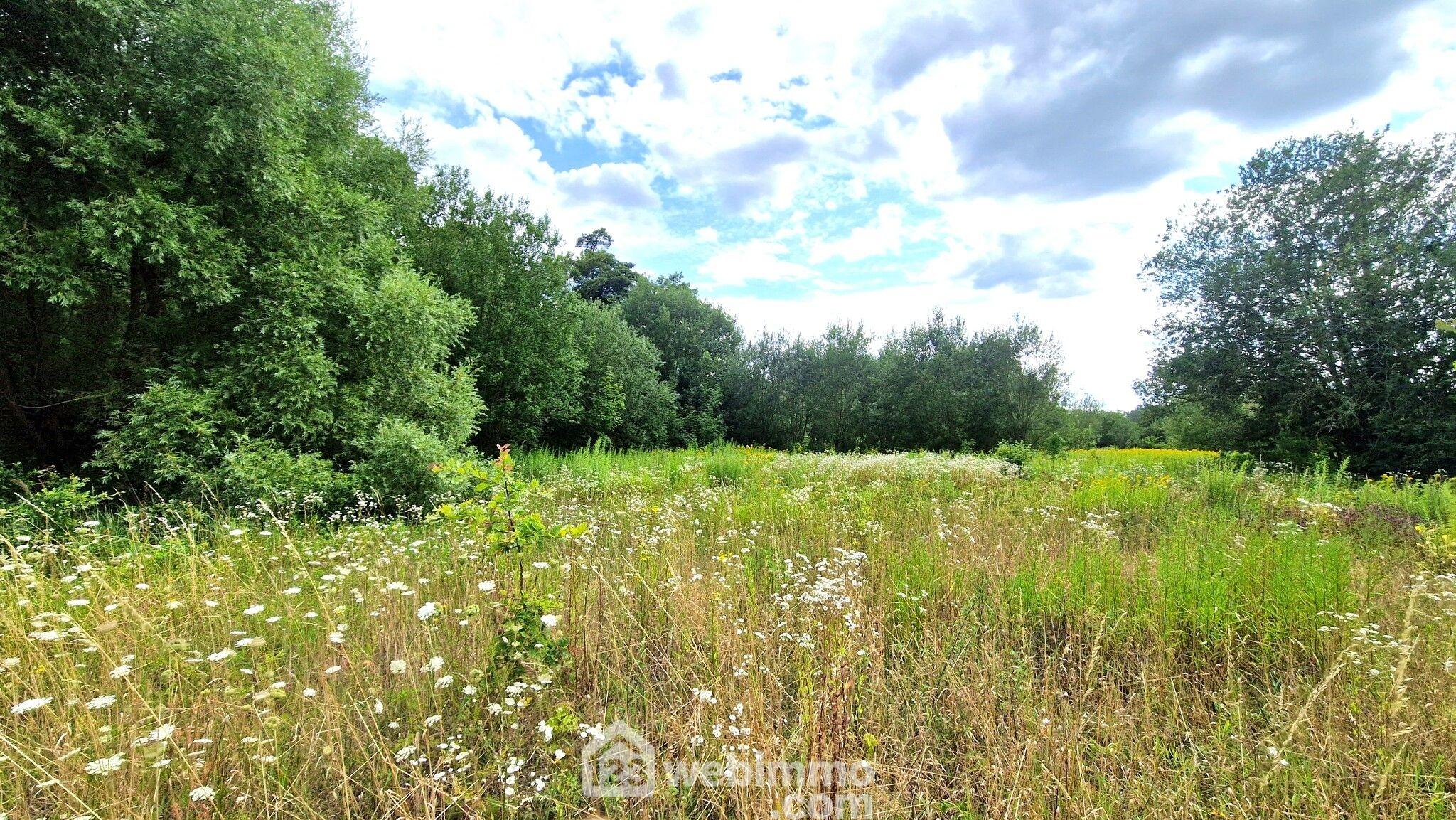 Terrain non constructible - 3886m² - Laon