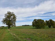 MAISON BOURGEOISE 150 M² — photo 4