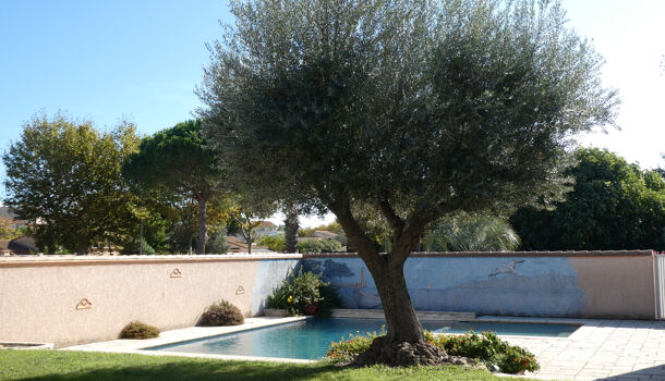 Villa / Maison 7 pièces  à vendre Saint-Cyprien 66750