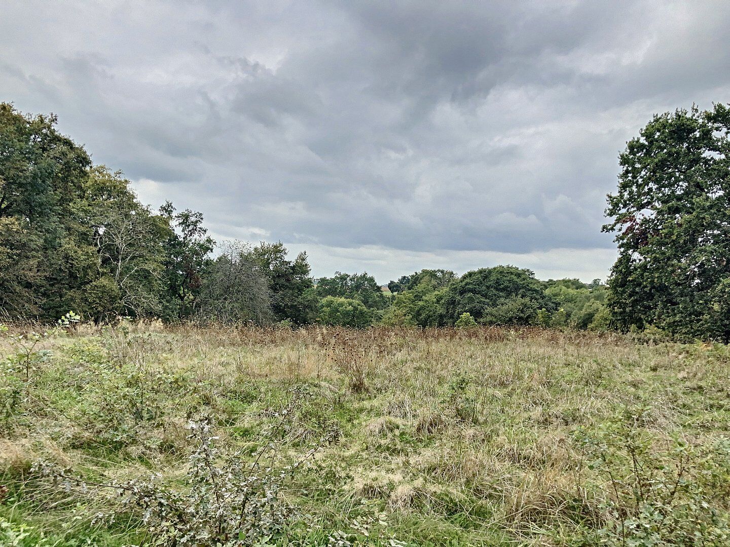 Terrain  à vendre Garlin 64330