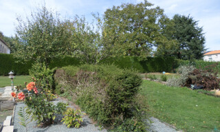 Photo N° 3