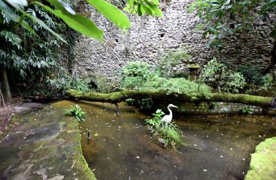 viager maison Bouquet 198 000 € à proximité de Saint-Sernin-du-Bois (71200)