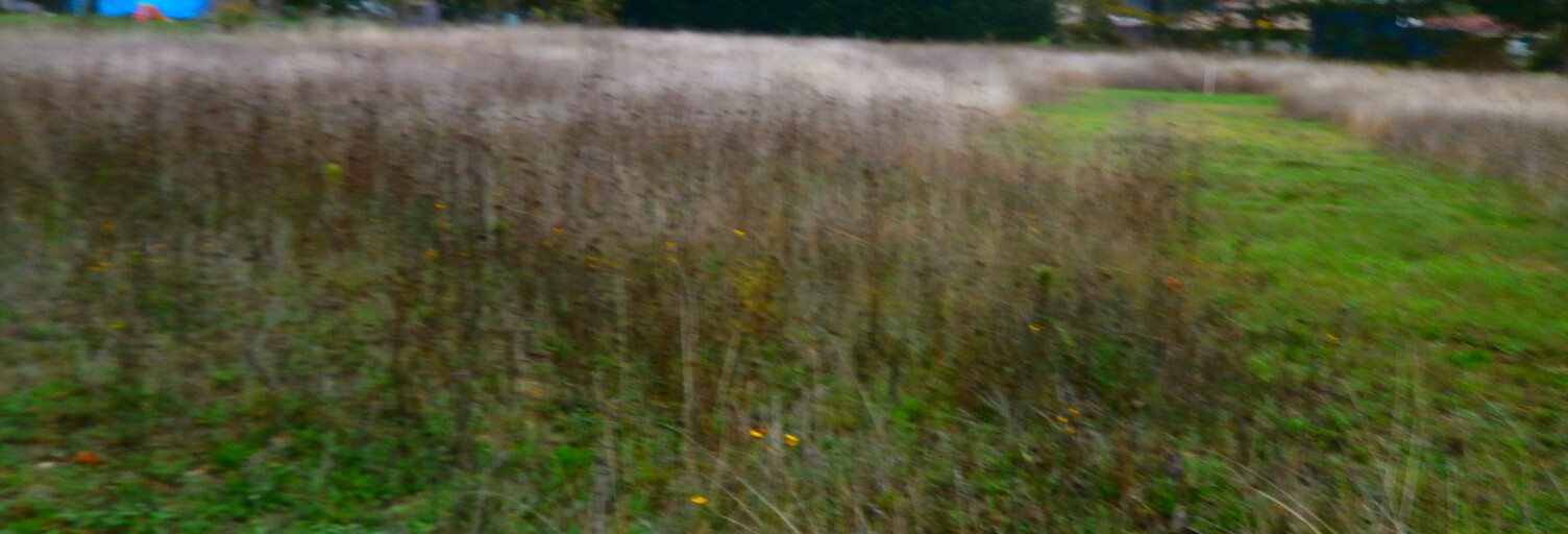 Terrain  934 m² à vendre à Reuilly (36260)