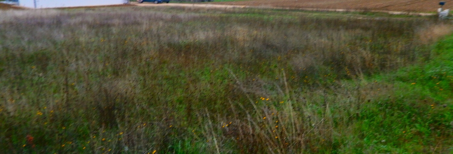 Terrain  1405 m² à vendre à Reuilly (36260)